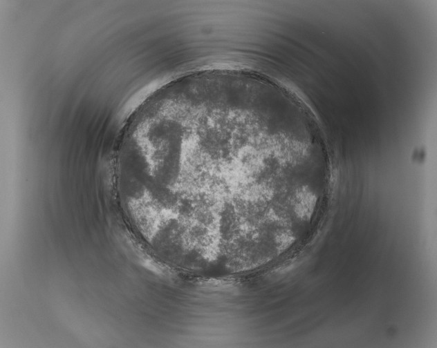 X0000112800874200909181534