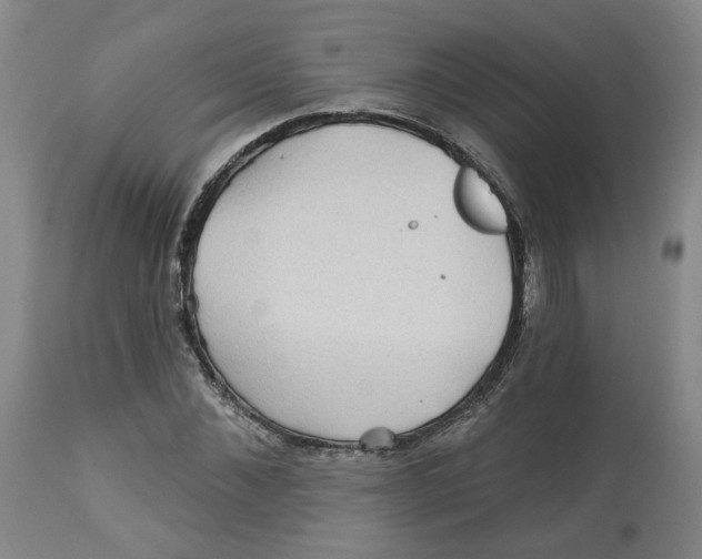 X0000112800876200909181534