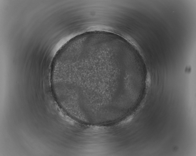 X0000112800877200909181534