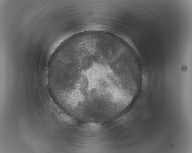 X0000112800878200909181534