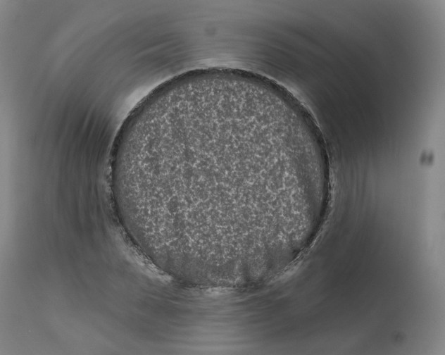 X0000112800879200909181534