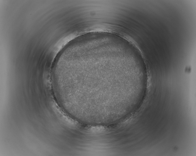 X0000112800882200909181534
