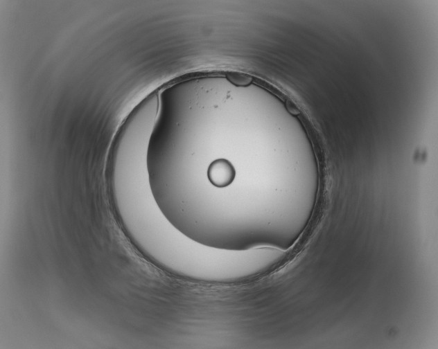 X0000112800885200909181534