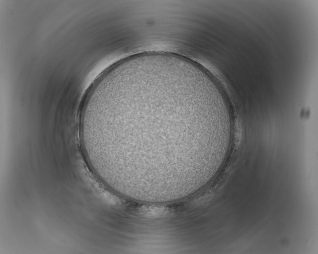 X0000112800886200909181534