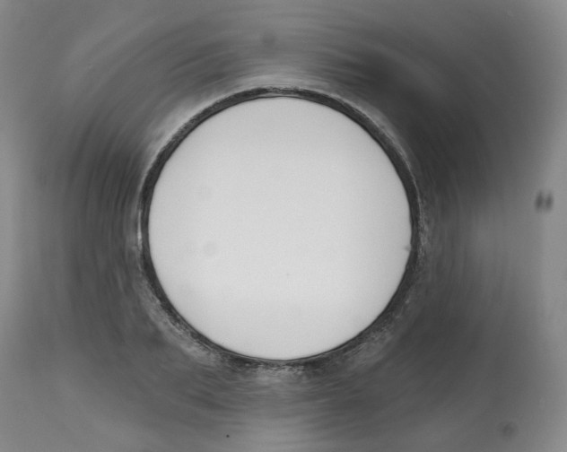 X0000112800887200909181534