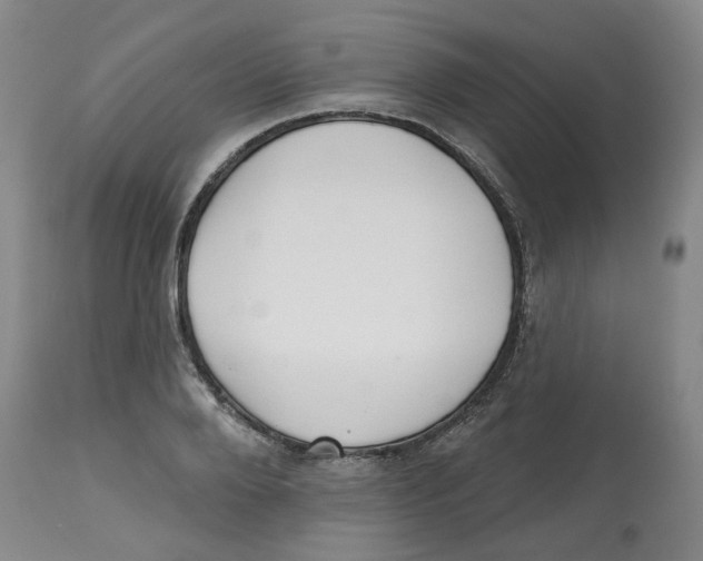 X0000112800888200909181534
