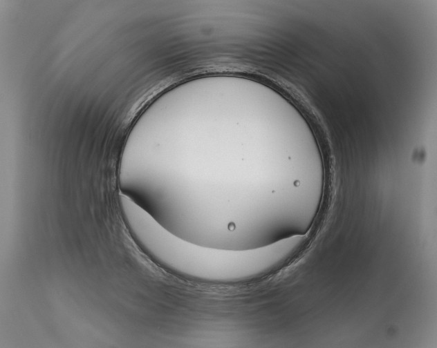 X0000112800889200909181534