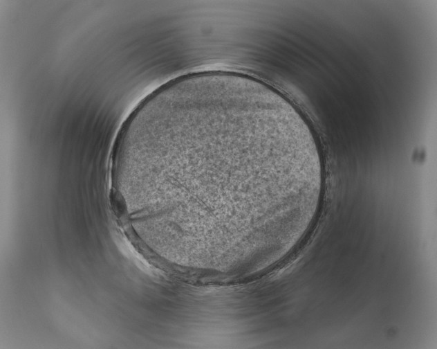 X0000112800892200909181534