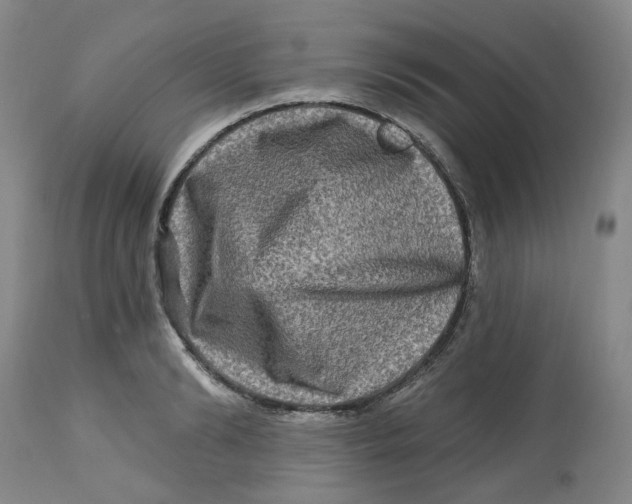 X0000112800894200909181534