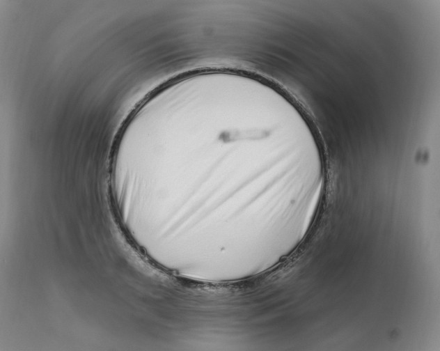 X0000112800895200909181534
