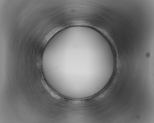 X0000112800897200909181534
