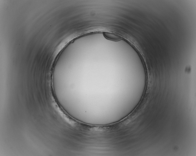 X0000112800898200909181534