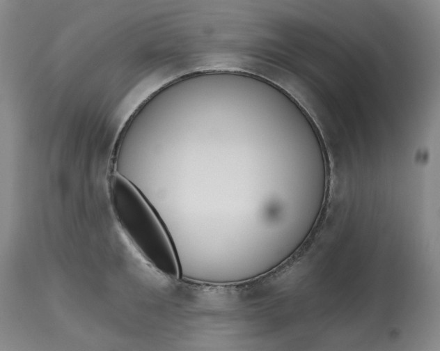 X0000112800901200909181534