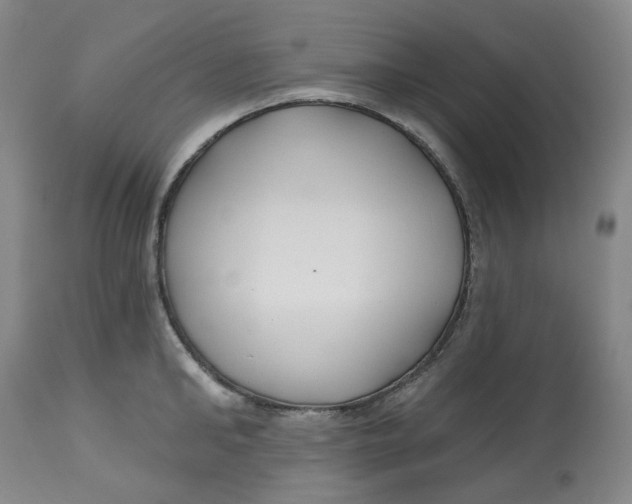 X0000112800902200909181533
