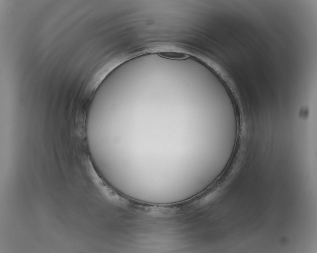 X0000112800905200909181533