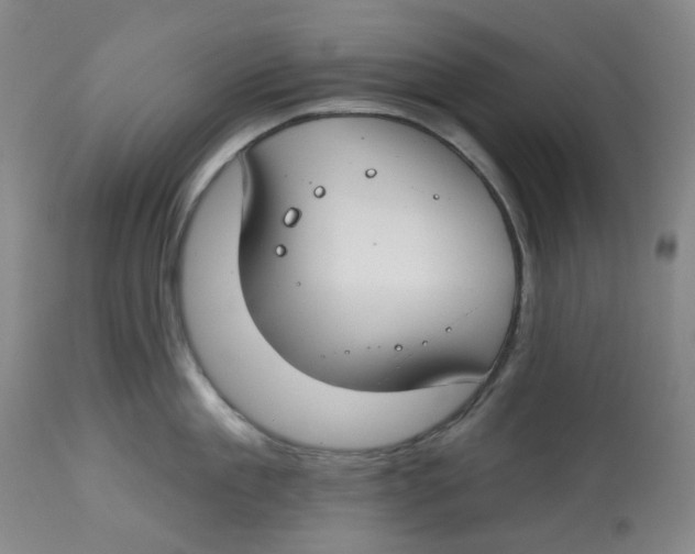 X0000112800909200909181533