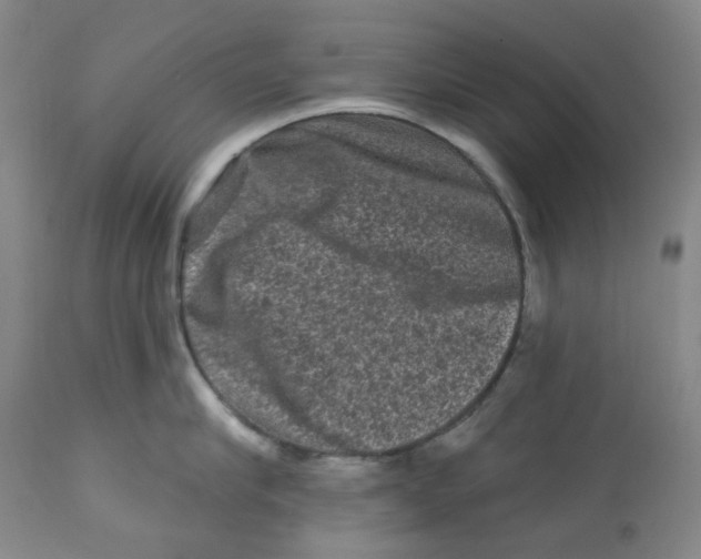X0000112800910200909181533