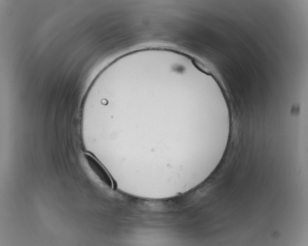 X0000112800911200909181533