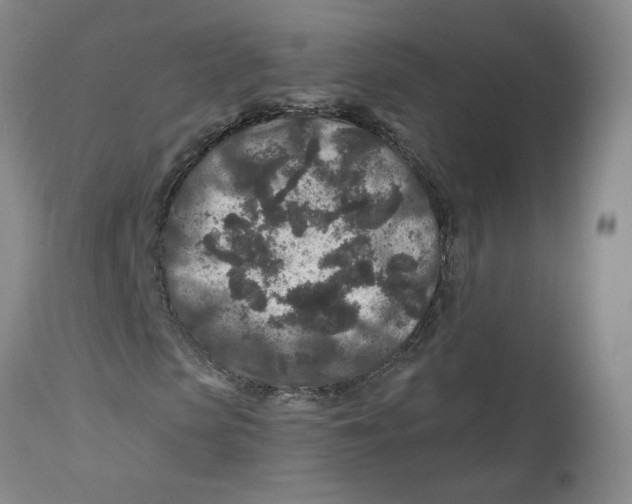 X0000112800913200909181533