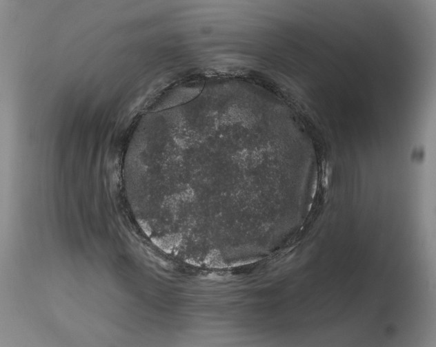 X0000112800915200909181533