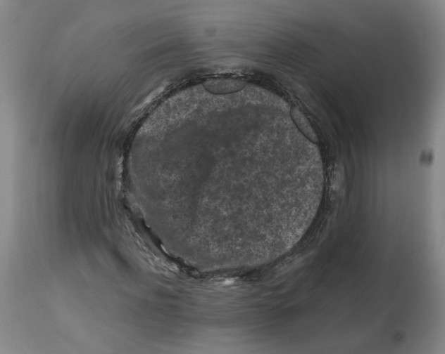 X0000112800916200909181533