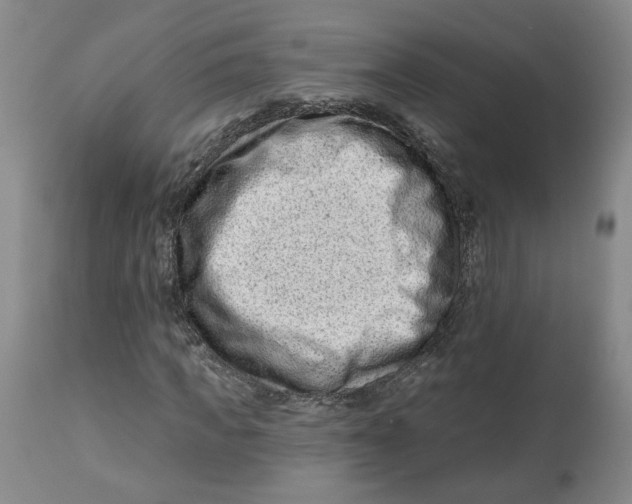 X0000112800917200909181533