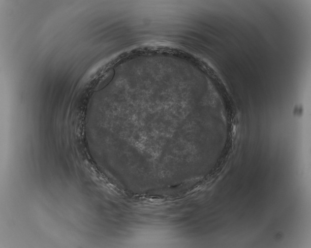 X0000112800919200909181533