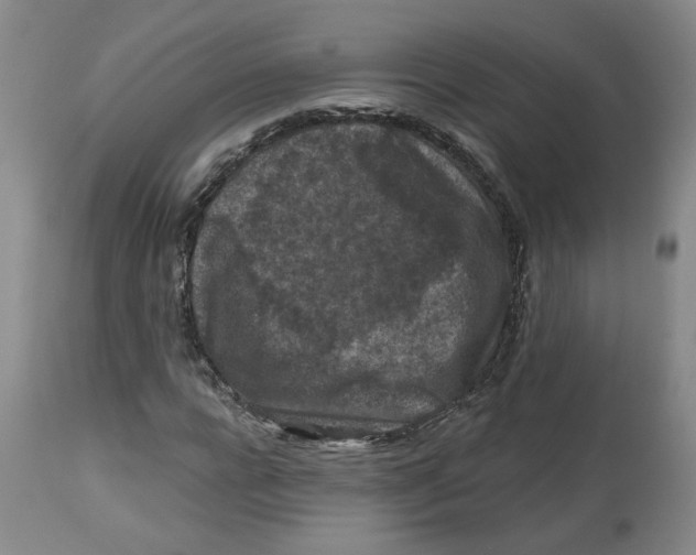 X0000112800920200909181533