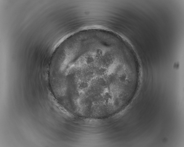 X0000112800921200909181533