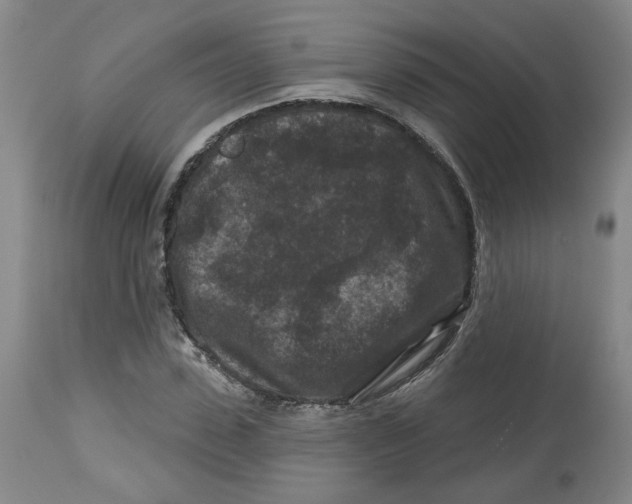 X0000112800923200909181533