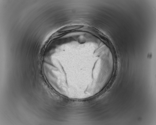 X0000112800925200909181533
