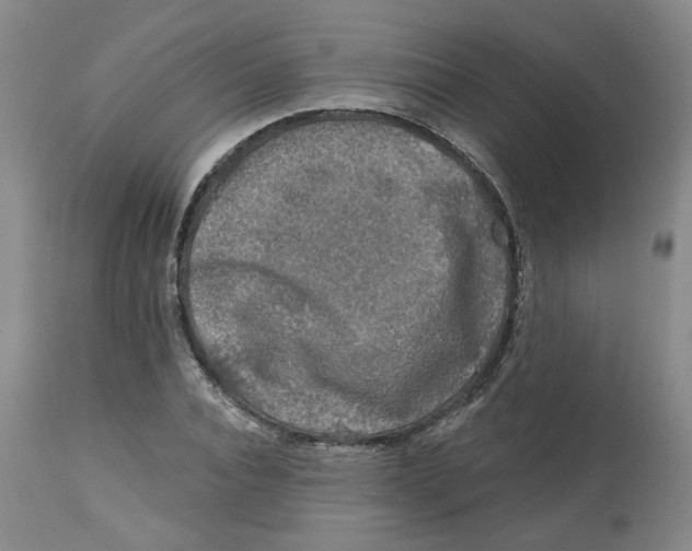 X0000112800928200909181533