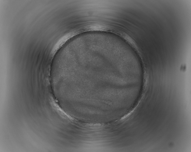 X0000112800930200909181533
