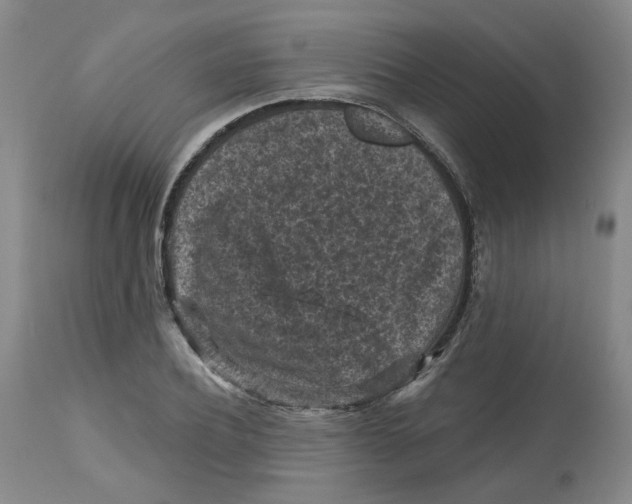 X0000112800932200909181533