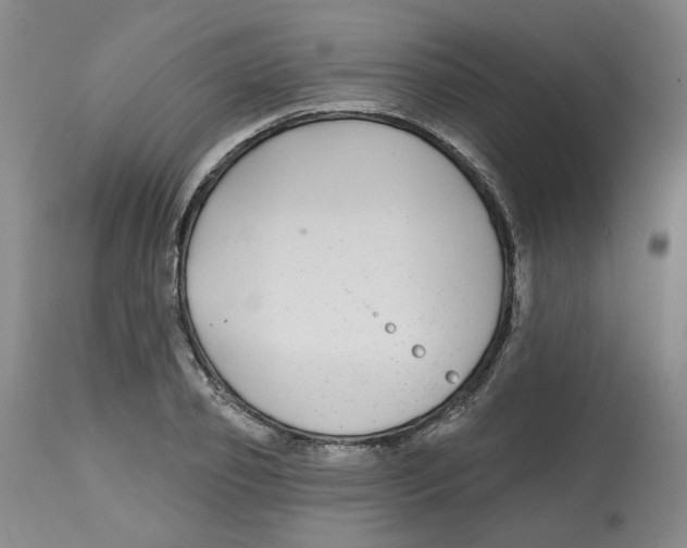 X0000112800933200909181533