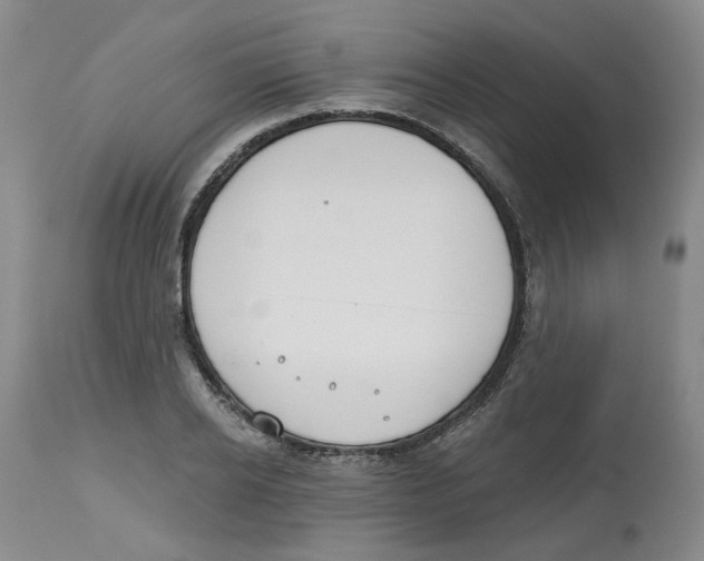 X0000112800934200909181533