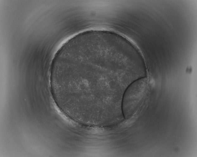 X0000112800935200909181533