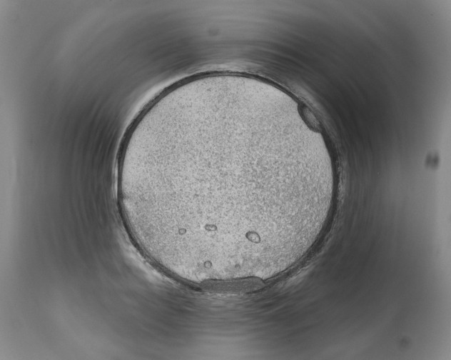 X0000112800940200909181533