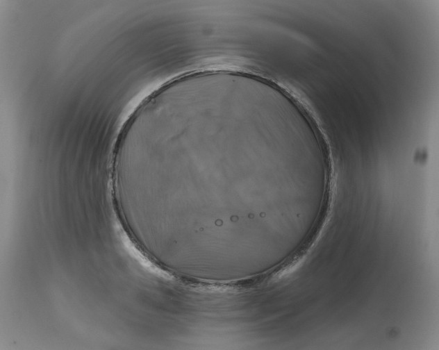 X0000112800941200909181533