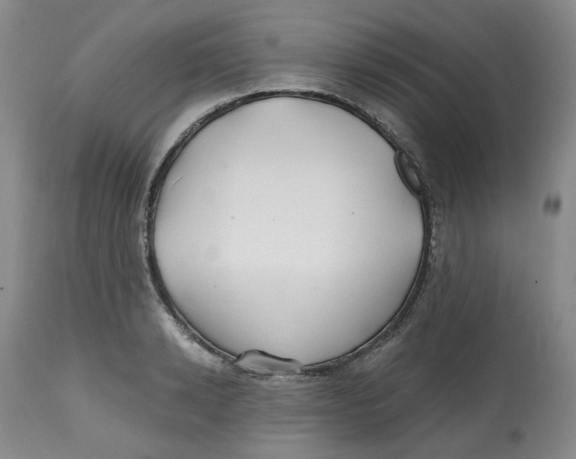 X0000112800942200909181533