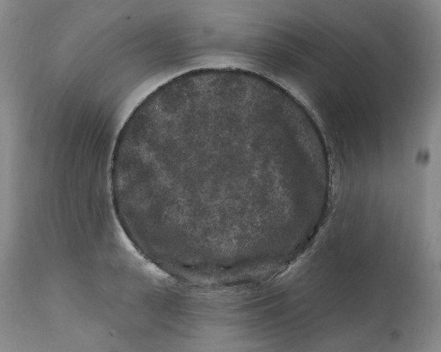 X0000112800943200909181533