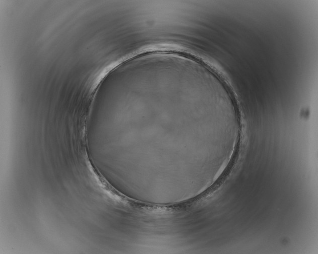 X0000112800945200909181533