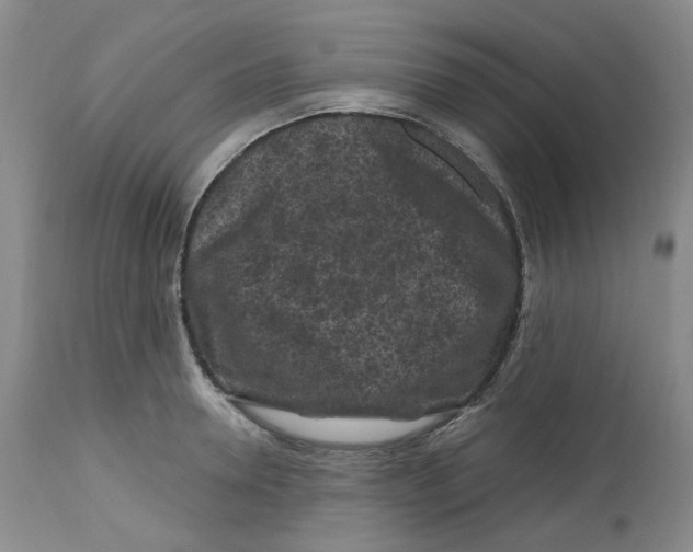 X0000112800946200909181533