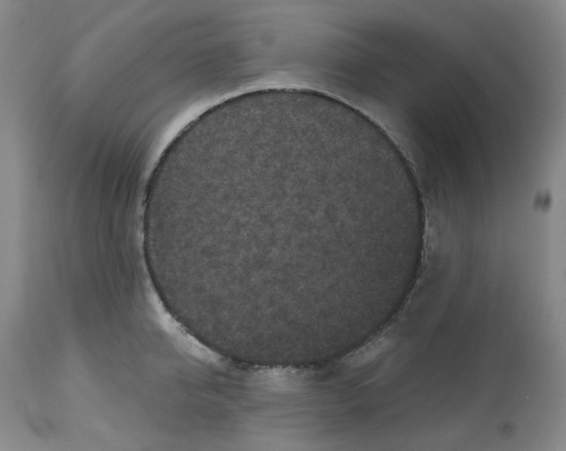 X0000112800950200909181533