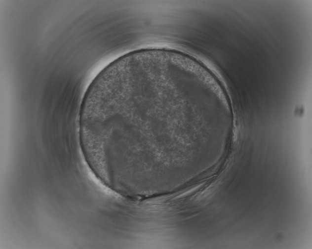 X0000112800951200909181533