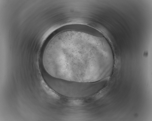 X0000112800952200909181533