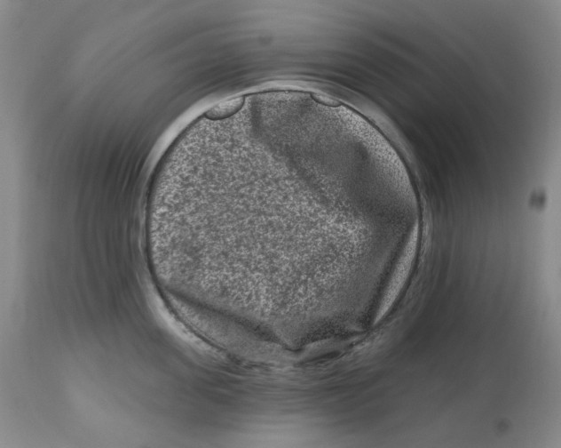 X0000112800955200909181533