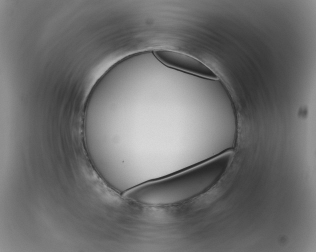 X0000112800956200909181533