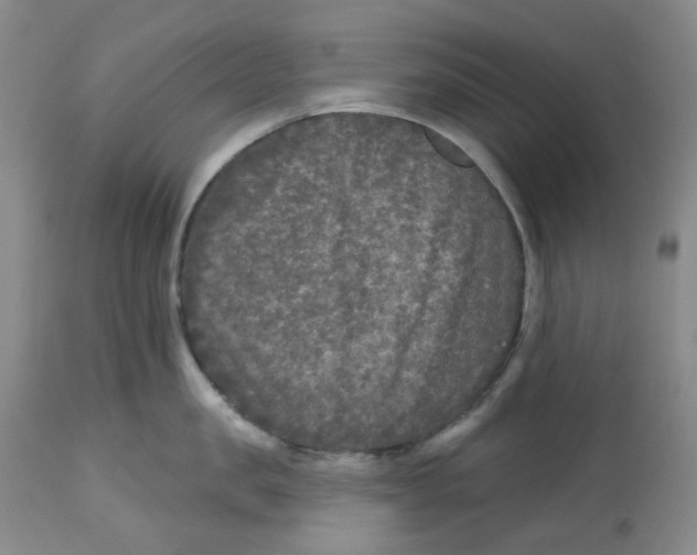 X0000112800957200909181533
