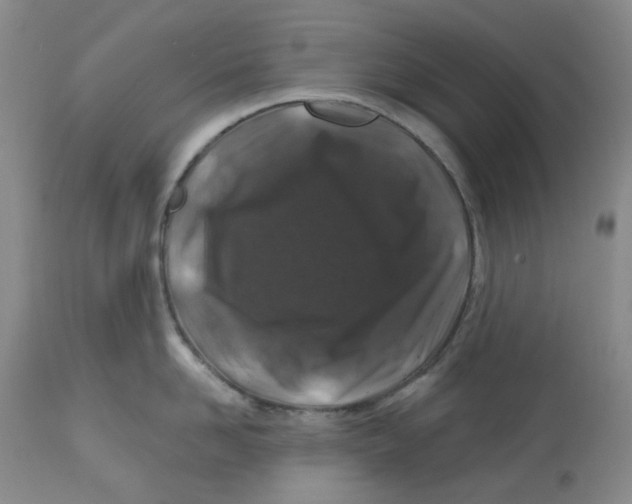X0000112800958200909181533